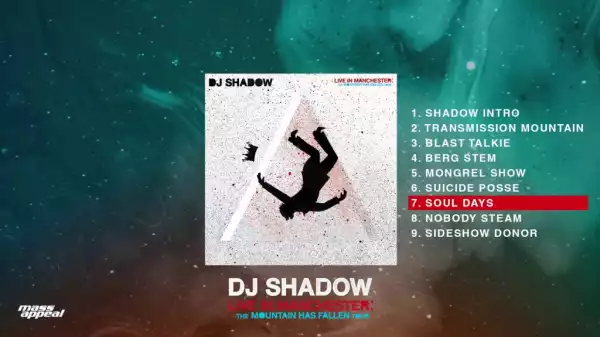 DJ Shadow - Nobody Steam